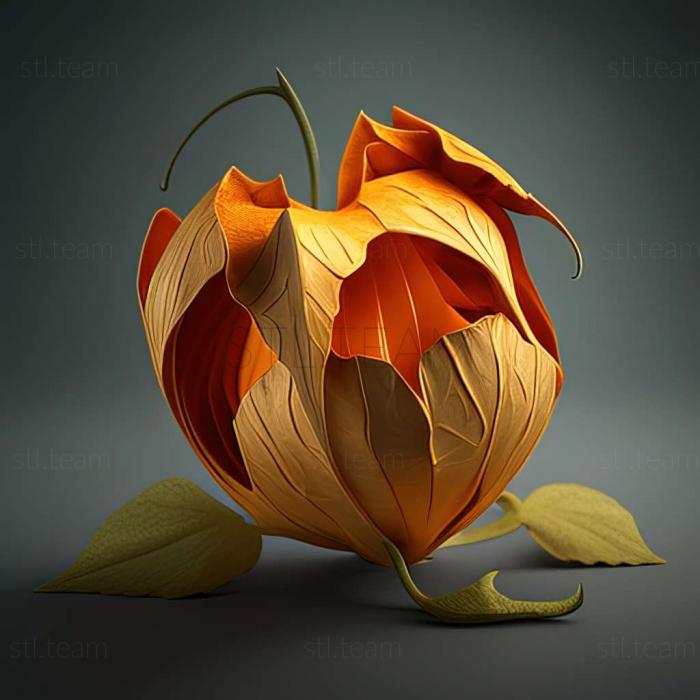 3D model Haemaphysalis (STL)